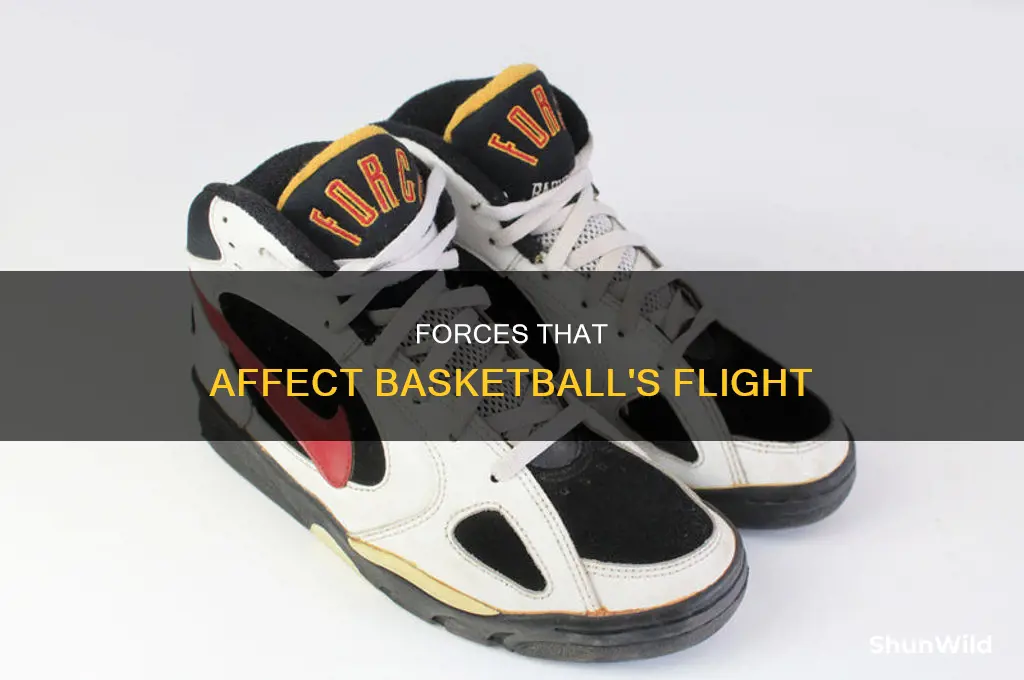 what forces act on a basketball