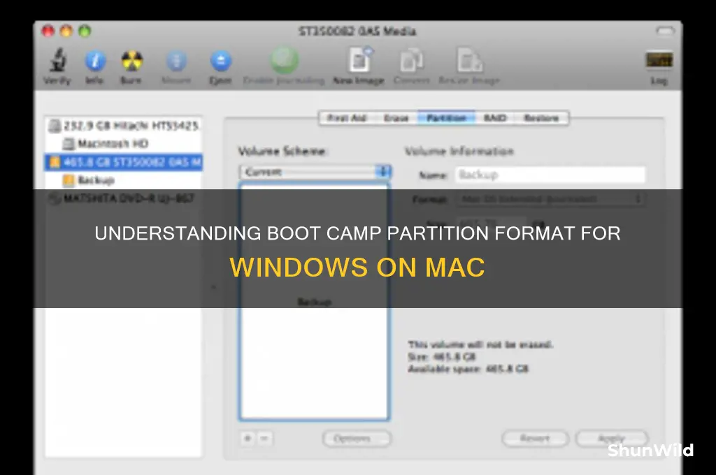 what format is boot camp partition