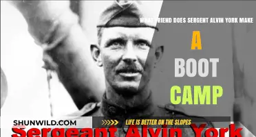 Alvin York's Unlikely Boot Camp Friendship: A Bond Forged in Training