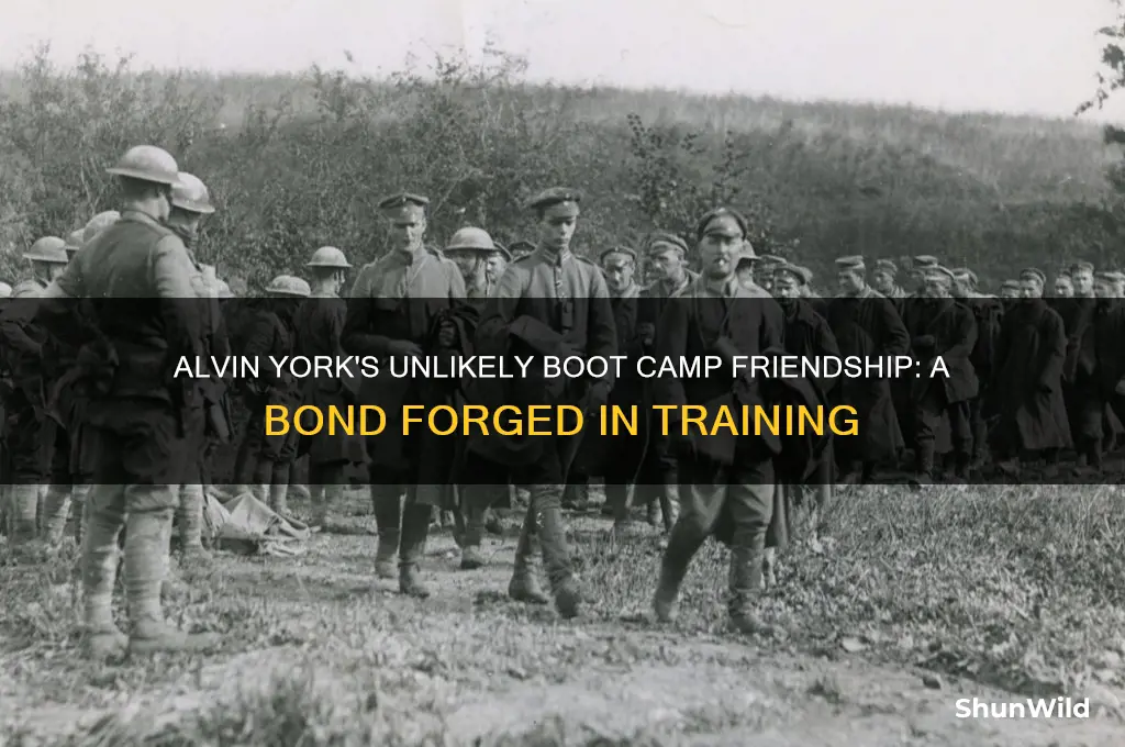 what friend does sergent alvin york make a boot camp