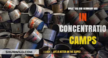 Deadly Zyklon B: Germany's Lethal Gas in Concentration Camps