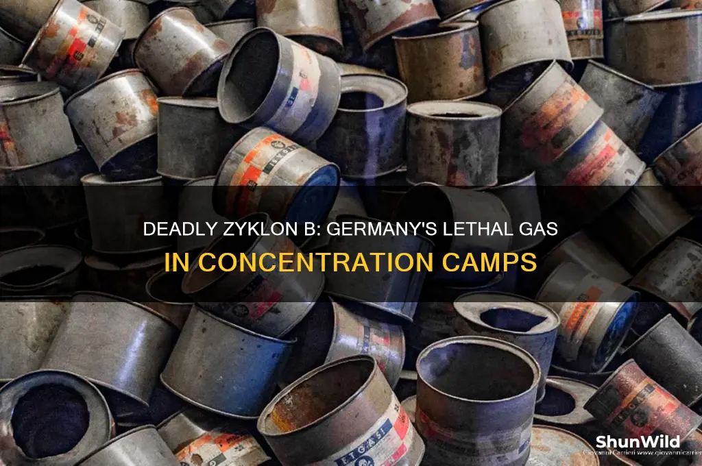 what gas did germany use in concentration camps