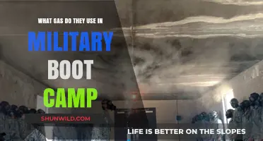 Military Boot Camp Gas: Unveiling the Fuel Behind the Training