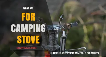 Best Camping Stove Gas Options: Fuel Types and Efficiency Guide