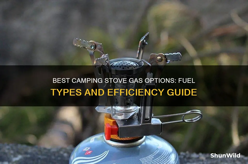 what gas for camping stove