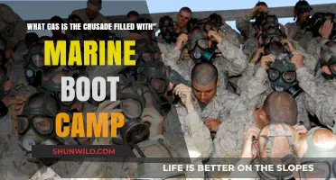 Marine Boot Camp's Crusade: Unveiling the Gas-Filled Training Ritual