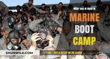 Marine Boot Camp Gas: Unveiling the Fuel Behind the Training