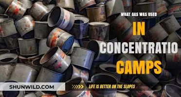 Zyklon B: The Lethal Gas Used in Nazi Concentration Camps