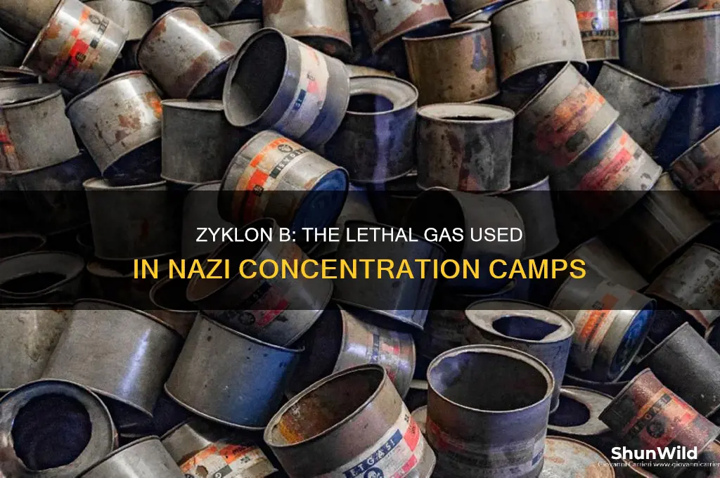 what gas was used in concentration camps