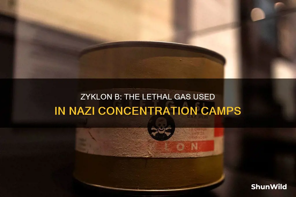 what gas was used in the concentration camps