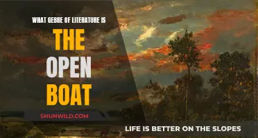 The Open Boat: A Naturalistic Literary Exploration