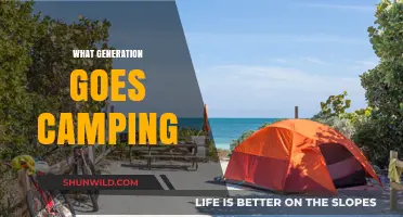Exploring the Great Outdoors: Which Generation Embraces Camping Adventures?