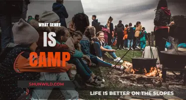 Exploring Camp: A Genre-Defying Cultural Phenomenon and Its Impact