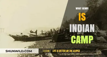 Exploring Hemingway's 'Indian Camp': Genre Analysis and Literary Insights