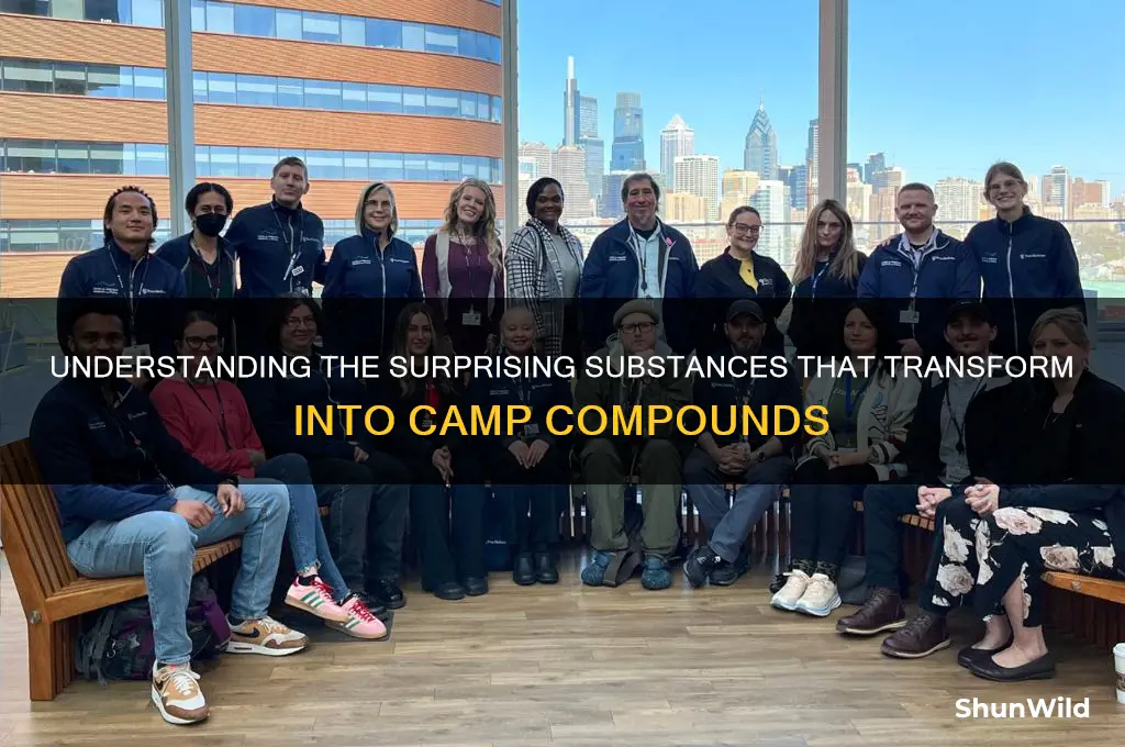 what gets converted into camp