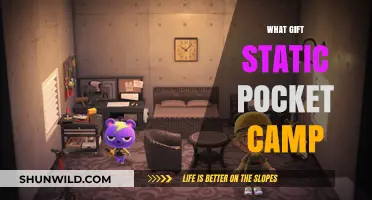 Perfect Gift Ideas for Static Pocket Camp Enthusiasts: A Guide