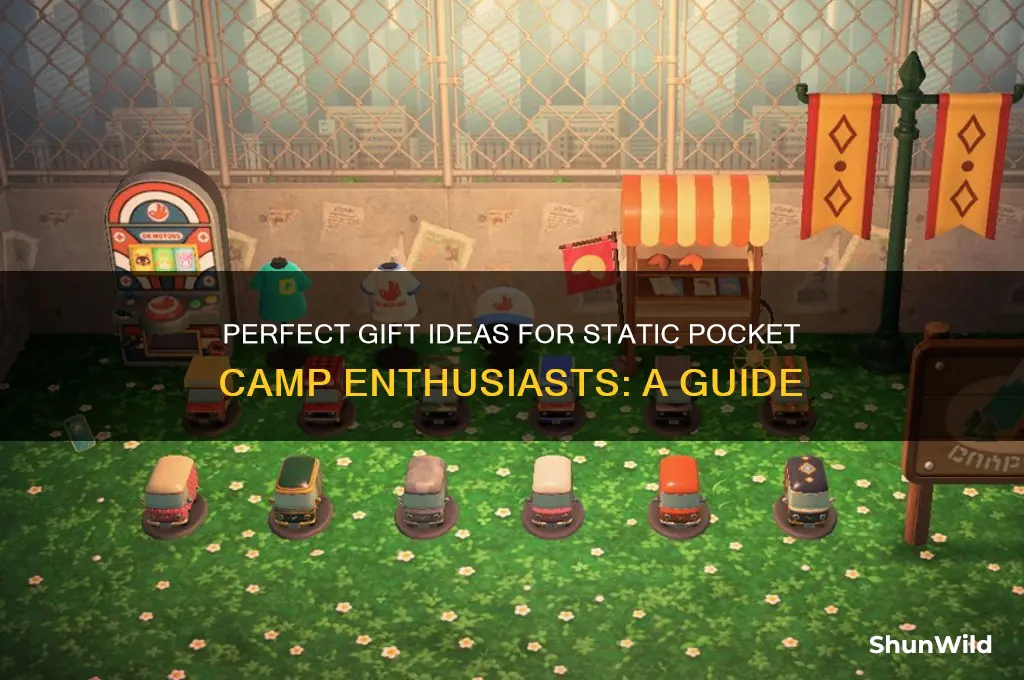 what gift static pocket camp