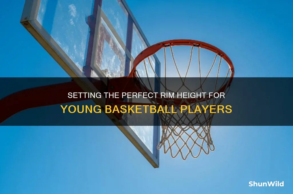 what goal hiegh for youth basketball