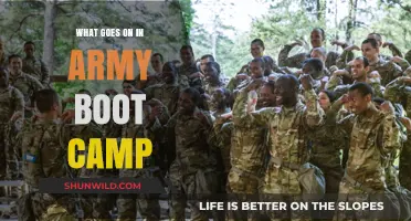 Army Boot Camp Revealed: Intense Training, Discipline, and Transformation Unveiled