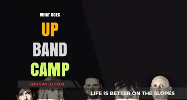 What Goes Up at Band Camp: Secrets, Stories, and Surprises