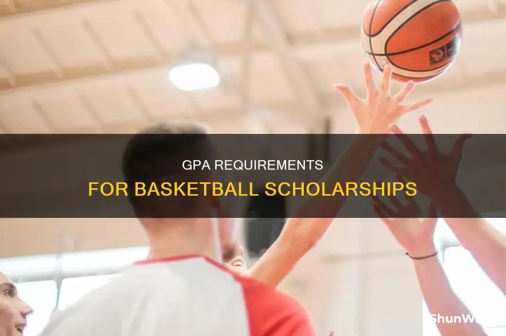 what gpa do you need for a basketball scholarship