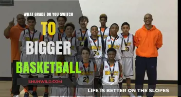 Basketball Upgrade: When Bigger Courts Come Into Play