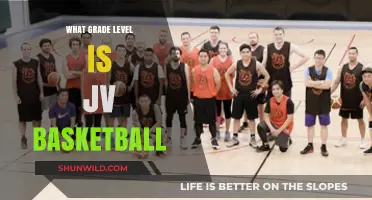 JV Basketball: Grades and Levels Explained