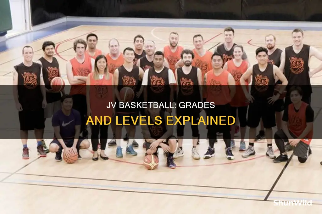 what grade level is jv basketball
