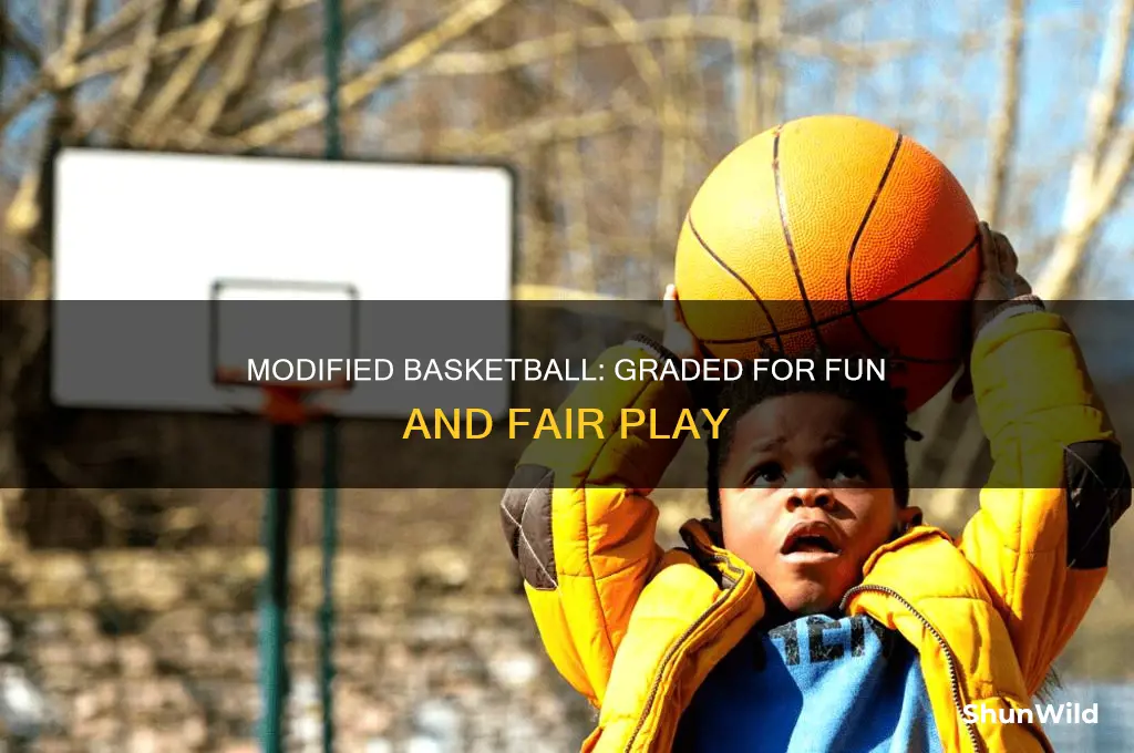 what grade level is modified basketball