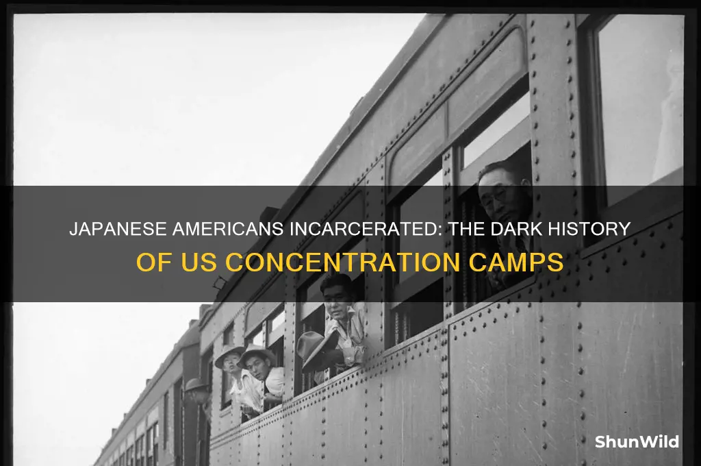 what group of us citicens were put in concentration camps