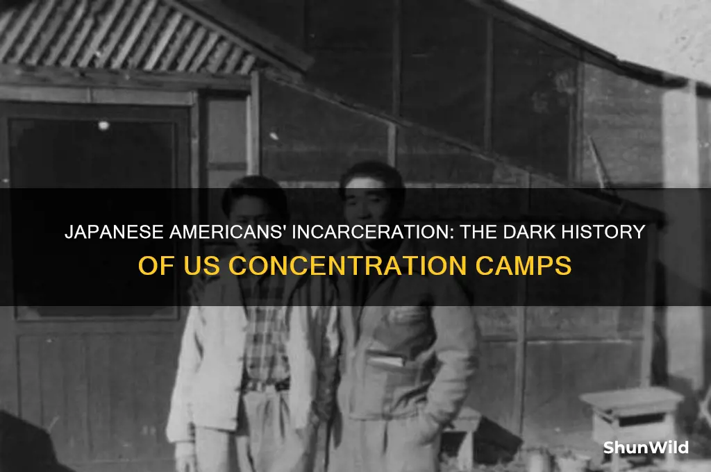 what group of us citizens were put in concentration camps