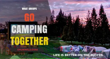 Exploring the Great Outdoors: Who Camps Together and Why?