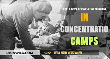 Prejudice in Concentration Camps: Targeted Groups and Their Struggles