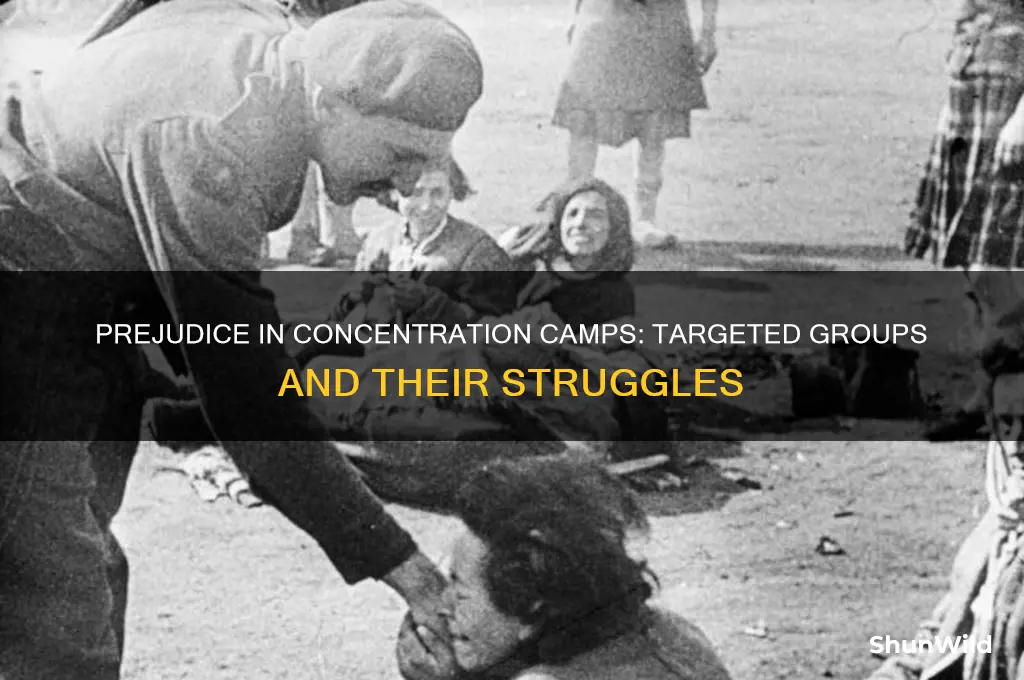 what groups of people felt prejudice in concentration camps