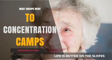 Who Was Sent to Concentration Camps: A Comprehensive Overview of Targeted Groups