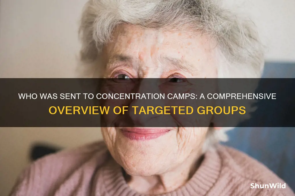what groups went to concentration camps