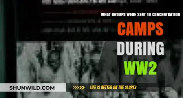 WWII Concentration Camps: Targeted Groups and Their Tragic Plight