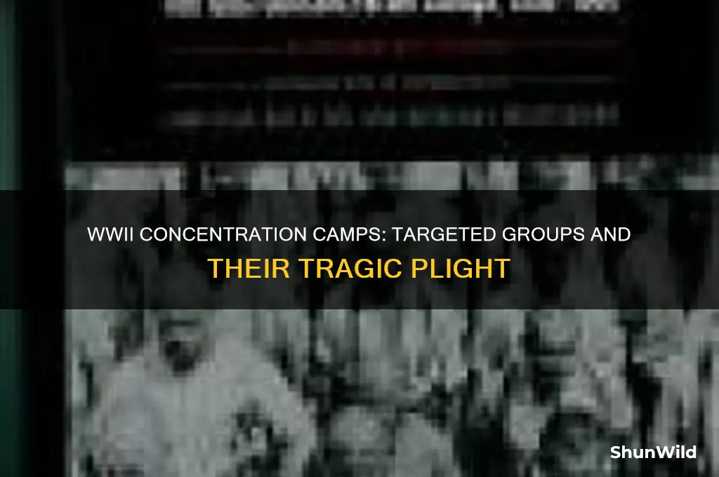 what groups were sent to concentration camps during ww2
