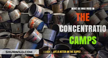 Zyklon B: The Deadly Gas Used in Nazi Concentration Camps