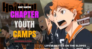 Haikyuu's Youth Camps: Unlocking Volleyball Potential and Team Spirit