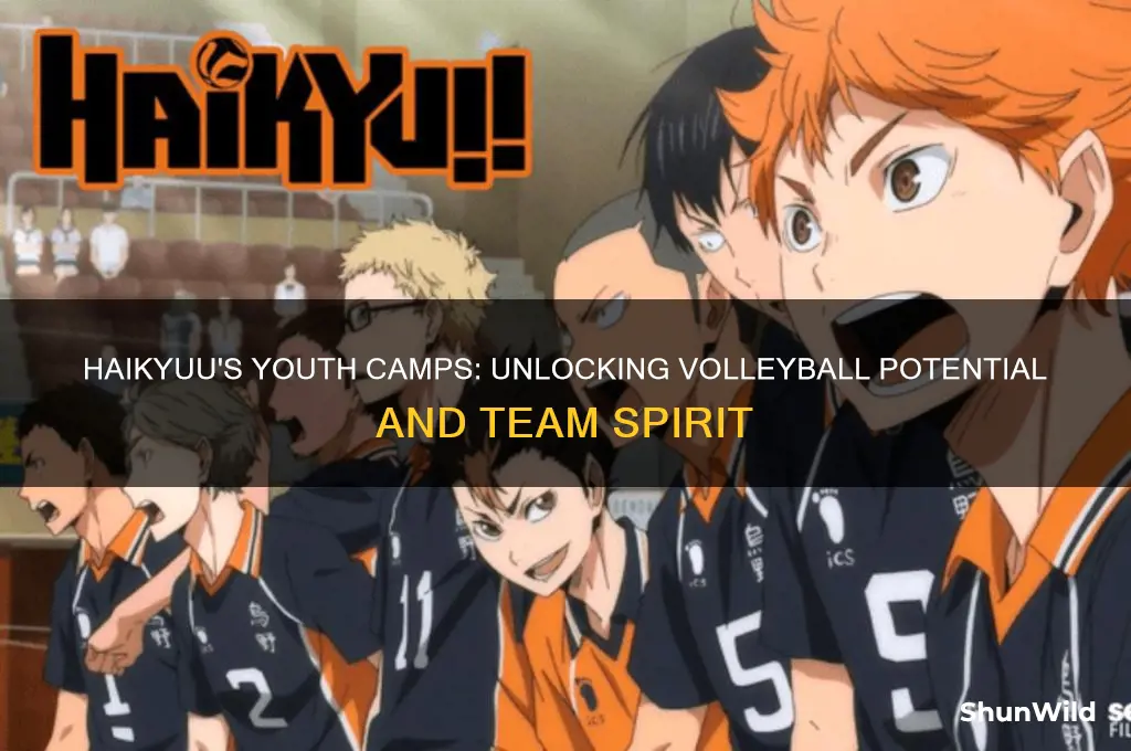 what haikyuu chapter youth camps