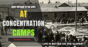 The Horrors of Concentration Camps: The Fate of Jews