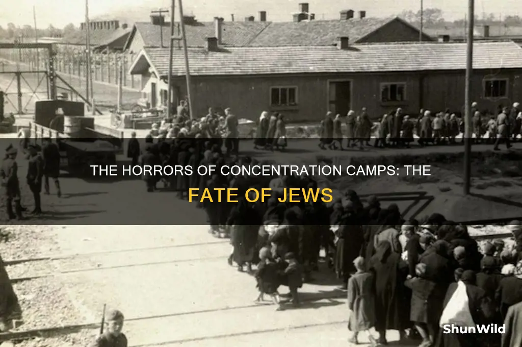 what hapened to the jews at concentration camps