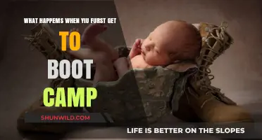 First Days at Boot Camp: Shock, Adaptation, and Transformation Explained