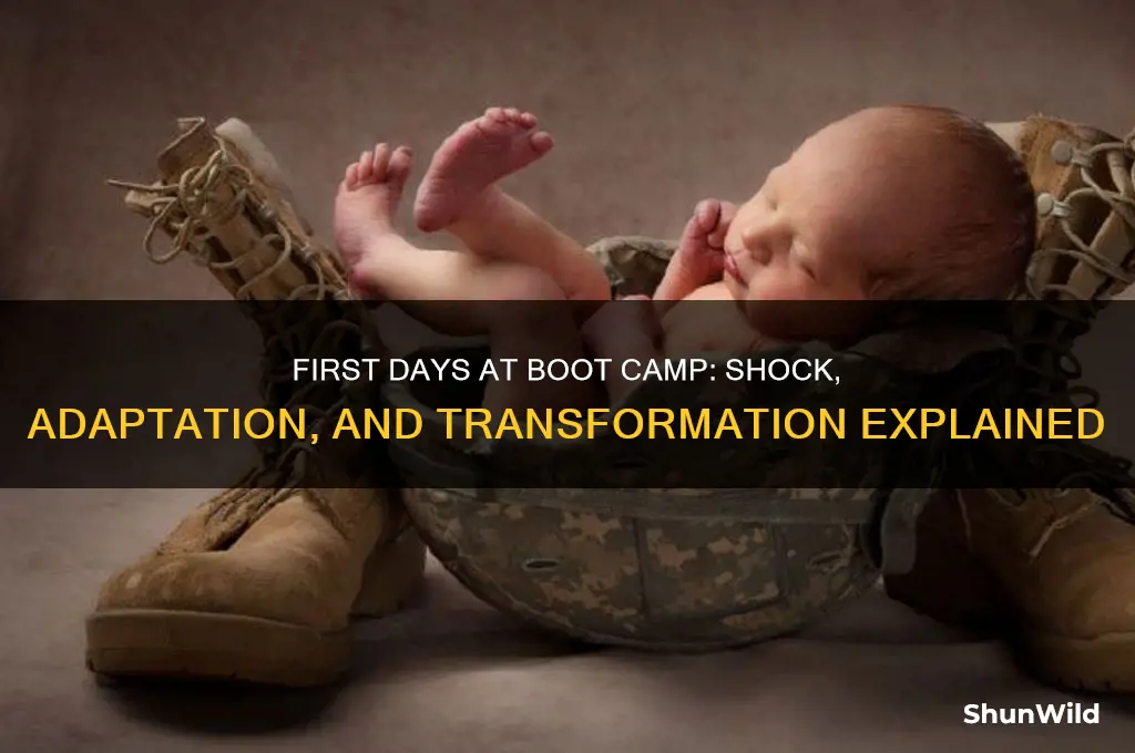 what happems when yiu furst get to boot camp