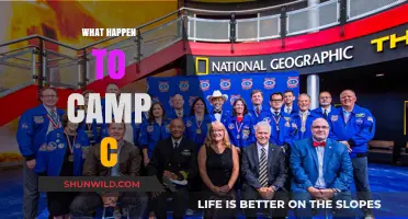 The Mysterious Disappearance of Camp C: Unraveling the Untold Story