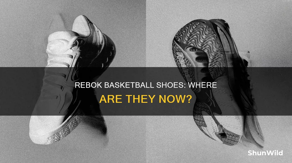 what happen to rebok basketball shoes