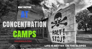 Unveiling the Horrors: Inside the Brutal Realities of Concentration Camps
