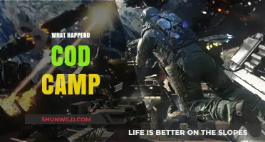 What Happened to COD Camp: The Rise, Fall, and Legacy Explored