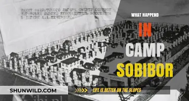 Camp Sobibor Uprising: The Untold Story of Resistance and Survival